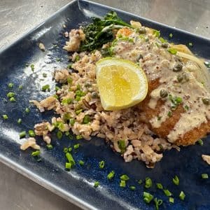 Black Grouper