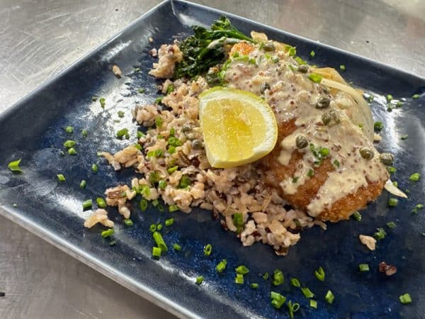 Black Grouper